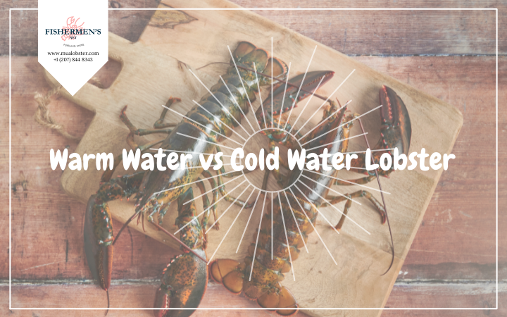 Cold Water vs. Warm Water Lobster: Pick the Best for Perfect Tails
